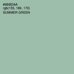 #9BBDAA - Summer Green Color Image